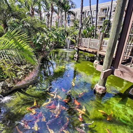 Charming Oceanside Condo With Beach And Pool Access! Bagian luar foto
