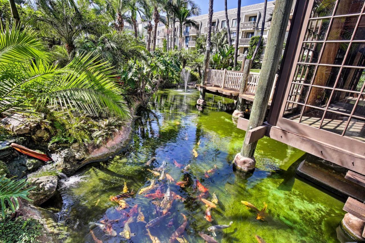 Charming Oceanside Condo With Beach And Pool Access! Bagian luar foto